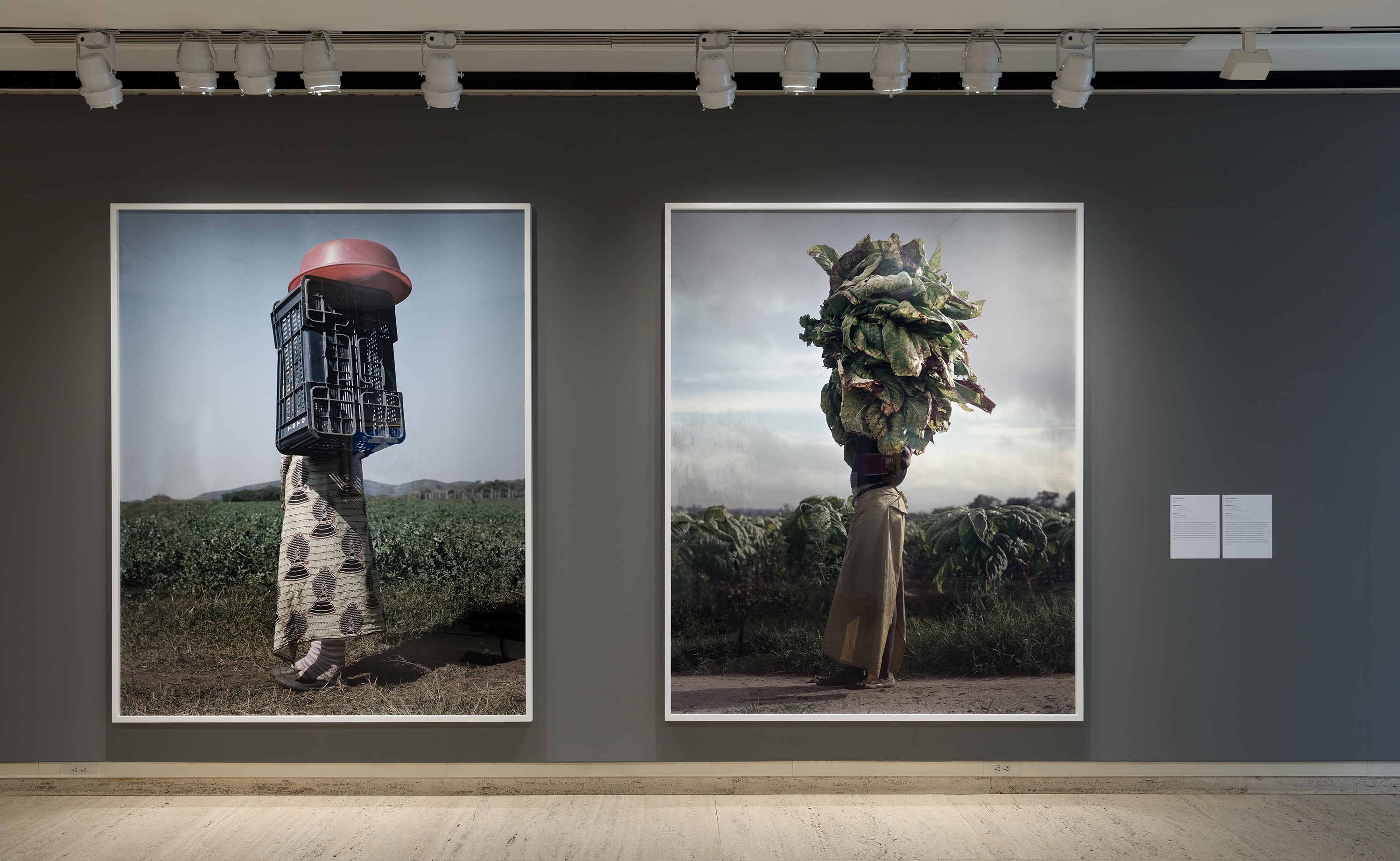 Framed photographs of people carrying items on their heads, displayed on a gray gallery wall.