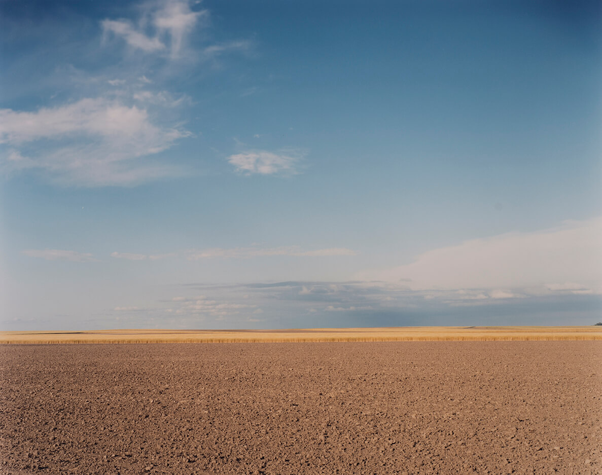 "Wheat Field, South of Marsland, Nebraska" (1993), a photograph by Peter Brown.