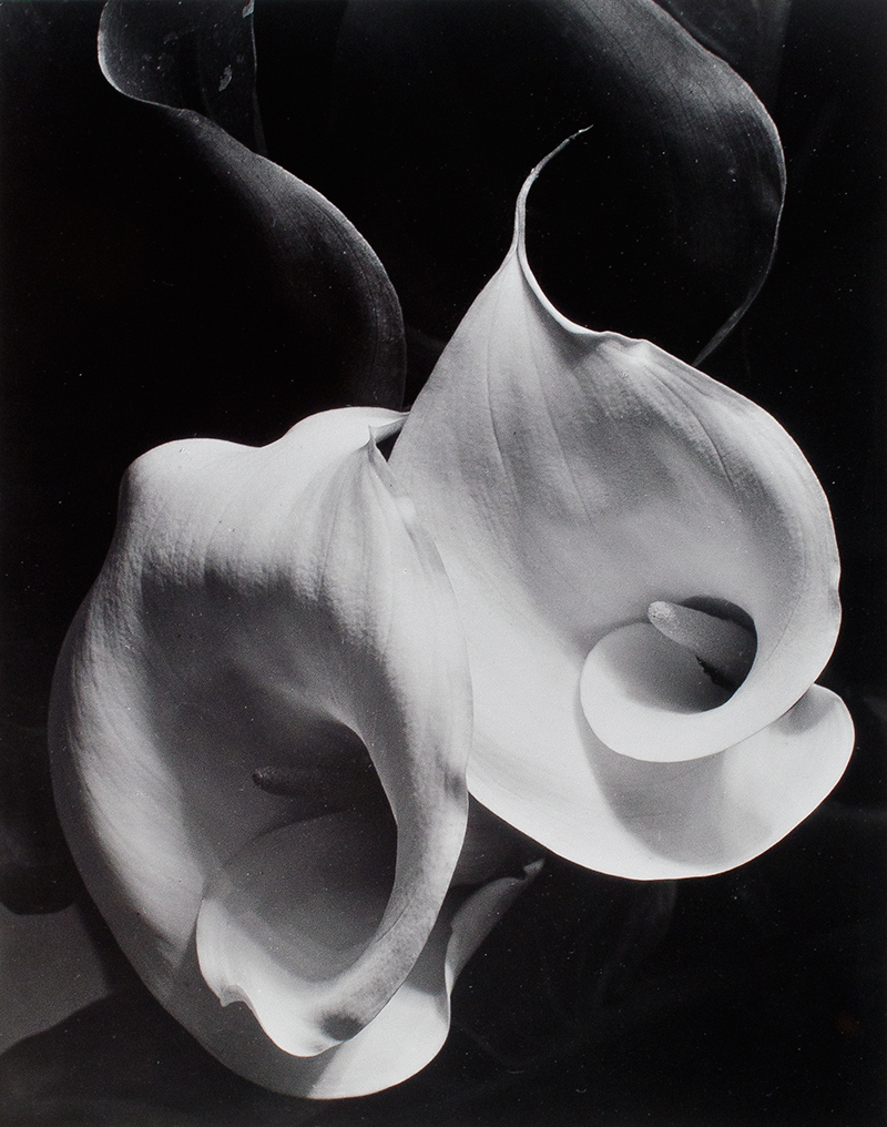 Image of the piece