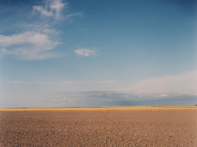 "Wheat Field, South of Marsland, Nebraska" (1993), a photograph by Peter Brown.