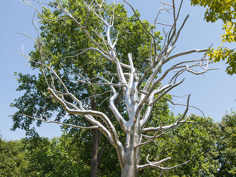 "Breach" by Roxy Paine